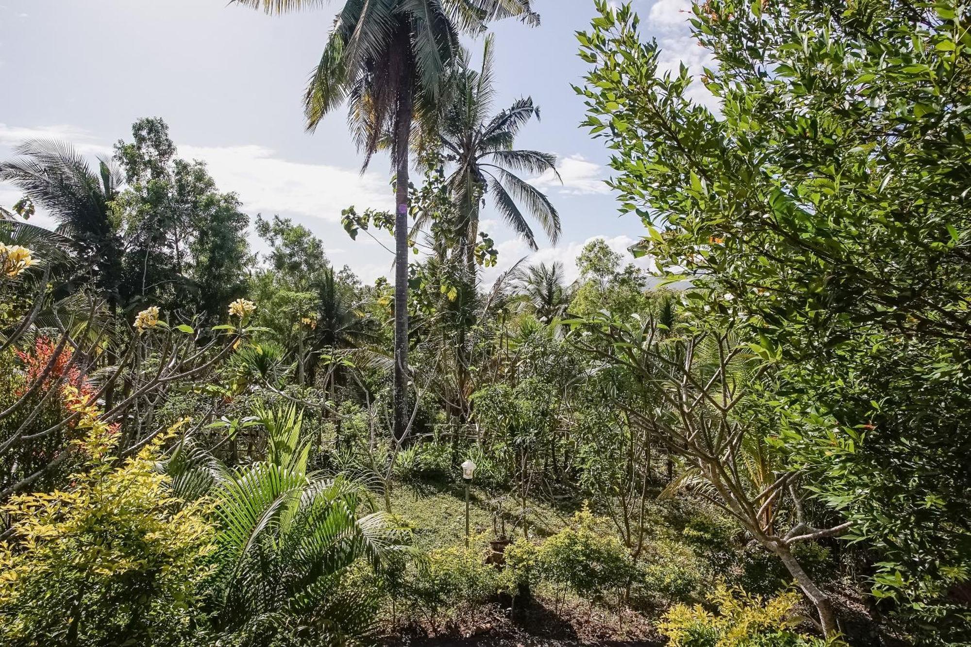 Penida Lapaya Bungalows Nusa Penida Sakti ภายนอก รูปภาพ